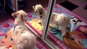 Faith finally finds herself | Rose Colored VLOG