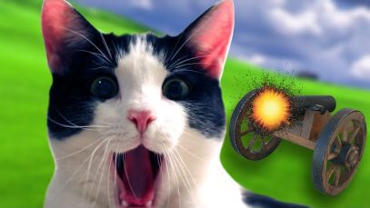 FLUFFY READY FOR LAUNCH | Kitten Cannon