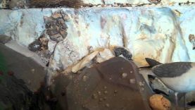 Fun at the Beachy Head Experience