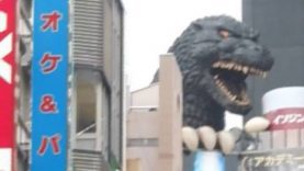 Gojira-Besaenftigung in Tokio.