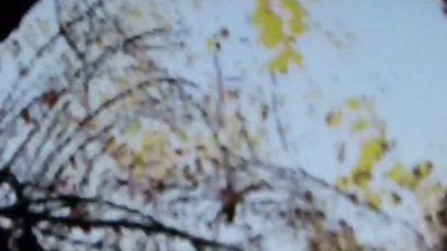 Halloween 2016: The Cult of Beakoux