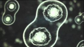 Halo Anniversary – Terminal 3: The Truth and Reconciliation