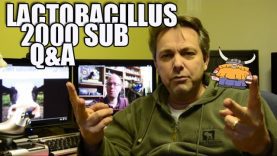 lactobacillus 2000 subs