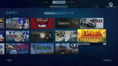 Lacto’s Steam Library 15-12-2014 / On Digital Downloads