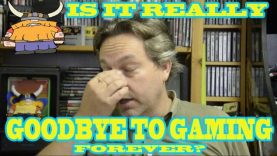 mmo versus single player: a vr to VinnieCorleone62