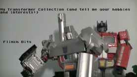 My Transformer Collection (and tell me your hobbies and interests!)