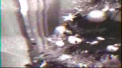 RETROUNLIM DOESN’T LIKE THE CHEER…