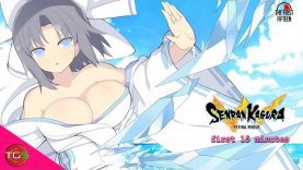 Senran Kagura Estival Versus – NSFW!!! The First 15 Minutes (PC Gameplay)