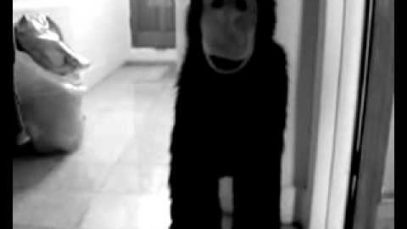 Spunky II – Influenced by Abe’s Odyssey