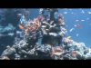 Sunshine City Aquarium