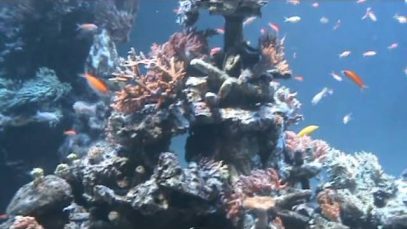 Sunshine City Aquarium