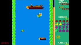 Swimmer for the Arcade