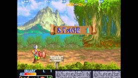 That Was The Year That Was – Arcade – 1991