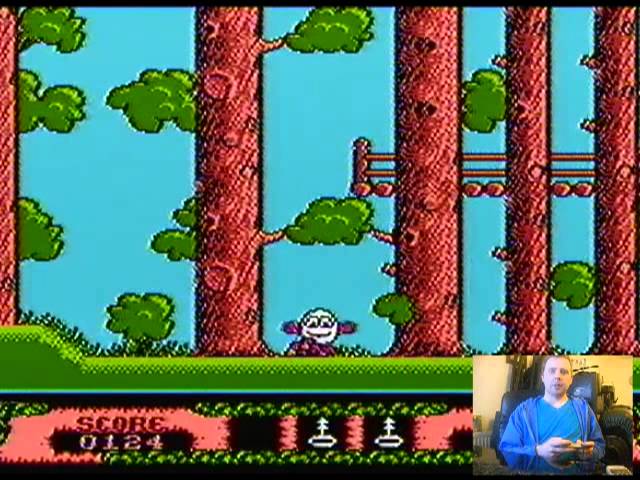 The Fantastic Adventures of Dizzy on the NES