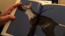 The Last Guardian – Collector’s Edition Unboxing (PS4)