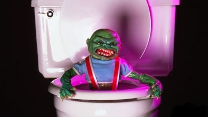 Toilet Thursday 5 (Recycling Pointless Facts Since 1976)