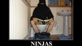 Toilet Thursday Ninja Style