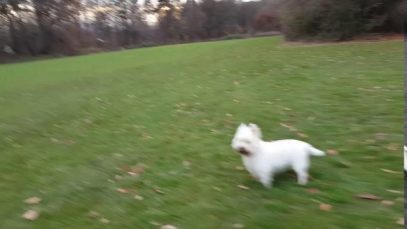 VR to Gashead Steve – 11 Random Questions