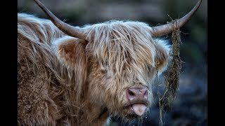 UPDATE: Still alive & 10 years of Yack