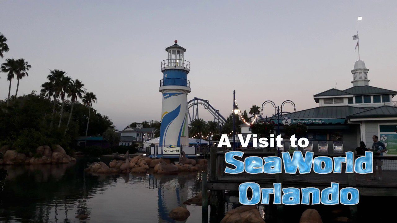 A Visit to SeaWorld Orlando including Kraken and Mako on-ride POV videos