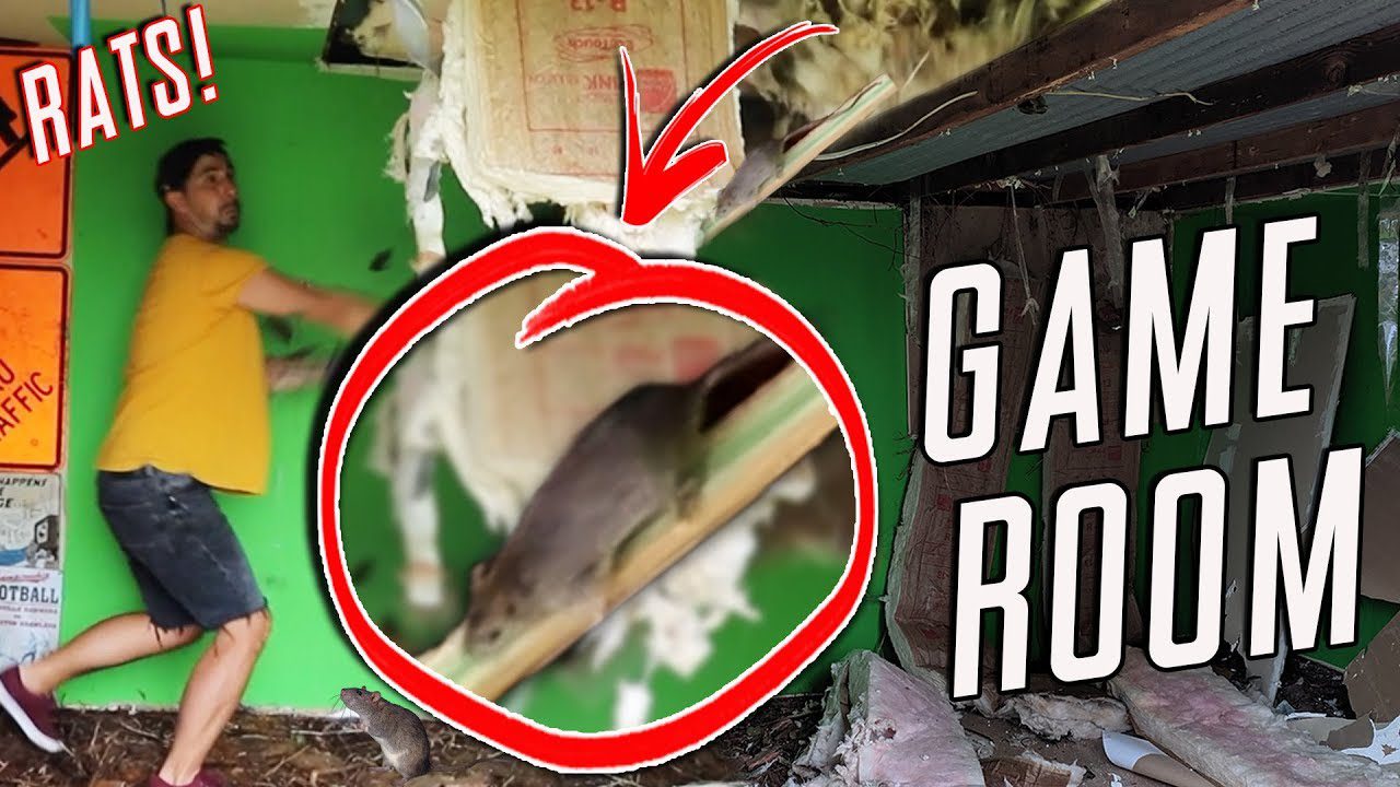 RATS RUINED MY GAME ROOM – MY NEW GAME ROOM and ARCADE!