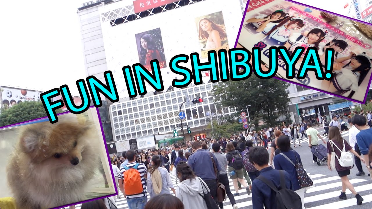 FUN IN SHUBUYA! | CUTE Pet Shop! 109! Mandarake & Maidreamin!