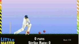 Geoff Boycott plays the Little Master Cricket game [PC]