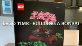 Building a Lego Bonsai Cherry Tree (18+ 10281 878 pcs)