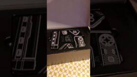 What’s in the EVERCADE VS box?