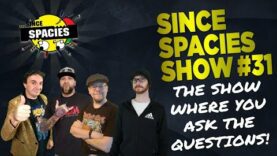 The Since Spacies Show #31 – We’re Back!