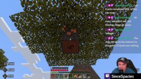 A New Adventure Begins! 🎮 First Time Playing Minecraft on PC! 🚀 | Since Spacies