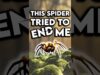 Beating up spiders never felt so good – and things just got way more intense!