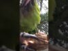 don’t eat my camera #shorts