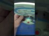 firing the excelsior from playmater #shorts