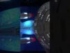 playmates Enterprise D upgrade #startrek #enterprise #shorts