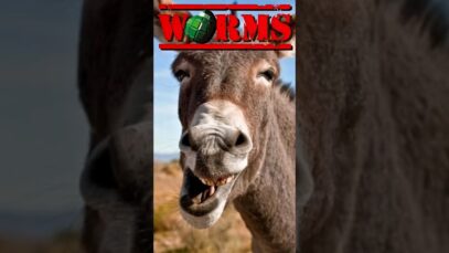 The Concrete Donkey
