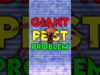 The whole family are in this game – Grounded 2 #ad