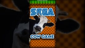 Yes, SEGA actually made this weird arcade game / #SEGA #ARCADE #retrogaming