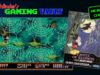 Witchfinder’s Gaming Vault: Castle of Illusion starring Mickey Mouse (Sega Megadrive/Genesis)